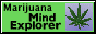 a small, dark blue button with a picture of a smiling cardinal and text reading Mountain State Furs